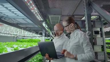 现代科学家通过在垂直自动化农场种植健康食品来发展健康食品生产